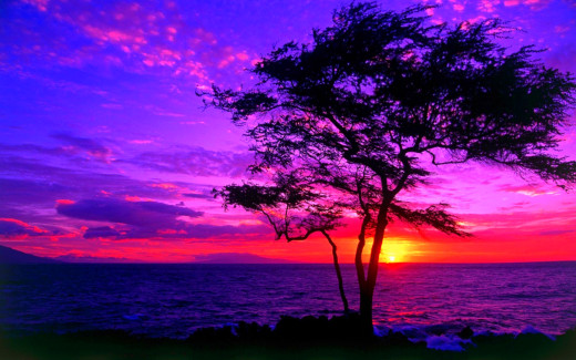620706 (a): :1920x1200